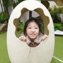 엘림공부방 - 성북구 돌곶이로22길 34 | 유아교육전 즐기기 + 서포터즈팩 후기