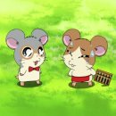 루트안경 이미지