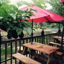 오가네슈퍼 이미지