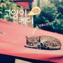 나만 없어 고양이 이미지