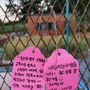 홈드림캠프 이미지