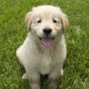 선한동물약국 이미지