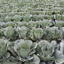 시목농장 이미지