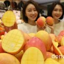 애플망고 이미지