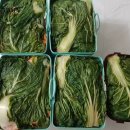 지곡농장 이미지