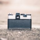 피터팬하우스 이미지