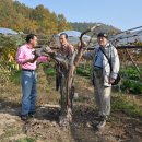 임상 농장 이미지