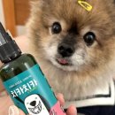 주식회사 미미펫 이미지