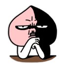 조례세차 이미지