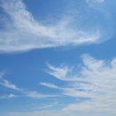 울릉도바닷가 상일펜션 | 울릉도바닷가 상일펜션 후기.