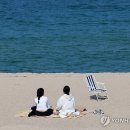 따사로운 이미지