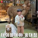 테이블에이 놀이터 이미지