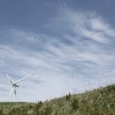 푸름목장 이미지