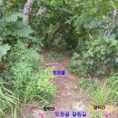 왕터산 정상 이미지
