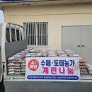 용문농장 시민일보