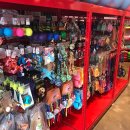 웰동물메디컬센터 이미지