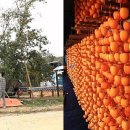 소문난공판장 이미지