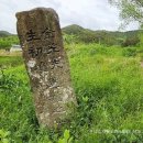 김삿갓초장 이미지