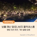 영통동 1046-6~영통동 1050-1 | 4인가족 보홀여행 3탄) 헤난 알로나비치 리조트 풀억세스 리뷰 및 명당 추천 (with 초4,초5 연년생)