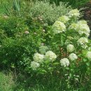 용비쉼터 이미지