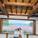 제주기사 | 제주 솔라티 렌트 후기, 기사님 가이드 덕분에 특별했던 여행