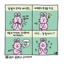 김토끼