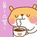 햄스테라 | 광화문 테라로사 /광화문 커피/광화문카페