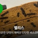 A.B.C.쇼핑 이미지