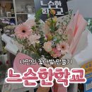 빛나는 가야금 힐링수업 | 금빛플라워 김정화 강사님과 함께한 느슨한학교 힐링원예 수업 후기