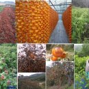 민하마을 이미지