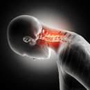 수원-1549 이미지