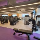 헬스컨설팅코리아 이미지