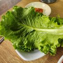 양지식당
