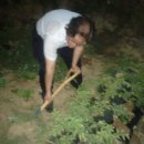 기쁨농장 이미지