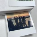 캐논 포토프린트 SELPHY QX20 후기 /XC-60L(카드형), XS-20L(정사각형) 필름 후기