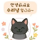 롯데리아구미산동점 | [구미 산동 미용실] '퀸살롱' 매직세팅 후기 – 머리결 좋아지고 컬도 예쁘게! [내돈내산]