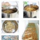 수삼랜드 이미지