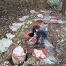 장성식당 이미지