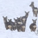 우현목장 이미지