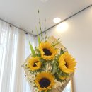 신월동234 이미지