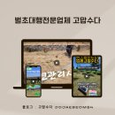 제주벌초