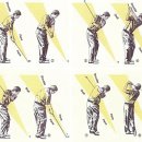 우리스포츠센터(골프) 이미지