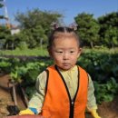 창아어린이집 이미지