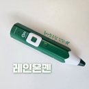 [세이펜] 세돌 지나고 나서야 들인 현대문물 레인온펜 사용방법부터 후기까지