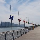 늘솔길공원양떼목장 이미지