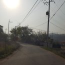 어유정미소 이미지