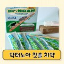 해달반점 | 환경호르몬 없는 닥터노아 대나무 칫솔 아기 불소 치약 추천