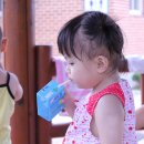 고렴공원 Daum카페
