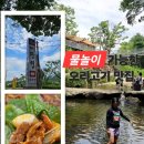 장안곡 | 기장 장안사계곡 오리고기 맛집｜물놀이 가능한 장안 대관령