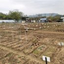 솔이농장 이미지